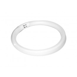 Light bulb (fluorescent lamp) 22W magnifying glass lamp S4