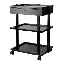 Pro Ink 1040A Tattoo Assistant Black