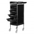 Gabbiano hairdressing assistant FX11-B black
