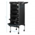 Gabbiano hairdressing assistant FX11-5 black