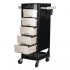 Gabbiano hairdressing assistant FT65 black/white
