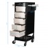 Gabbiano hairdressing assistant FT65 black/white