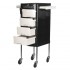 Gabbiano hairdressing assistant FT65-1 black/white