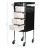 Gabbiano hairdressing assistant FT65-1 black/white
