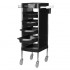 Gabbiano hairdressing assistant FX11-F black