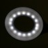 Ring LED Snake Desk Lamp White
