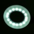Ring LED Snake Desk Lamp White