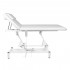 Sillon Electric massage lounger 079 1 motor white