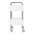 Podiatry assistant 6051 white