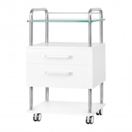 Podiatry assistant 6052 white