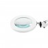 Glow 308 LED magnifying glass lamp for table top white USB