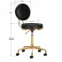 Cosmetic stool H5 gold black
