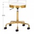 Cosmetic stool H7 gold white