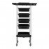 Gabbiano hairdresser's assistant X11-9 white graphics