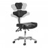 PRO INK 973 Tattoo Chair PRO INK 973 Tattoo Chair