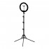 GLOW ring lamp 10"" bsc with stand 10W