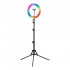 GLOW ring lamp 13"" RGB bsc with stand 10W GLOW ring lamp 13"" RGB bsc with stand 10W
