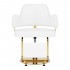Gabbiano hairdressing chair Linz NQ gold white