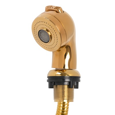 Hairdresser's wash handset, gold, large