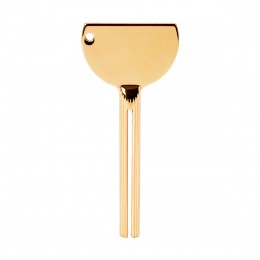 Paint squeezer key gold