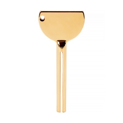 Paint squeezer key gold