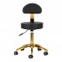 Cosmetic stool AM-304G gold black