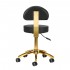 Cosmetic stool AM-304G gold black