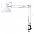 PiX 314 desk lamp white