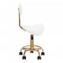 Cosmetic stool 6001-G gold - white 2 species. Cosmetic stool 6001-G gold - white 2 species.