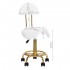 Cosmetic stool 6001-G gold - white 2 species. Cosmetic stool 6001-G gold - white 2 species.